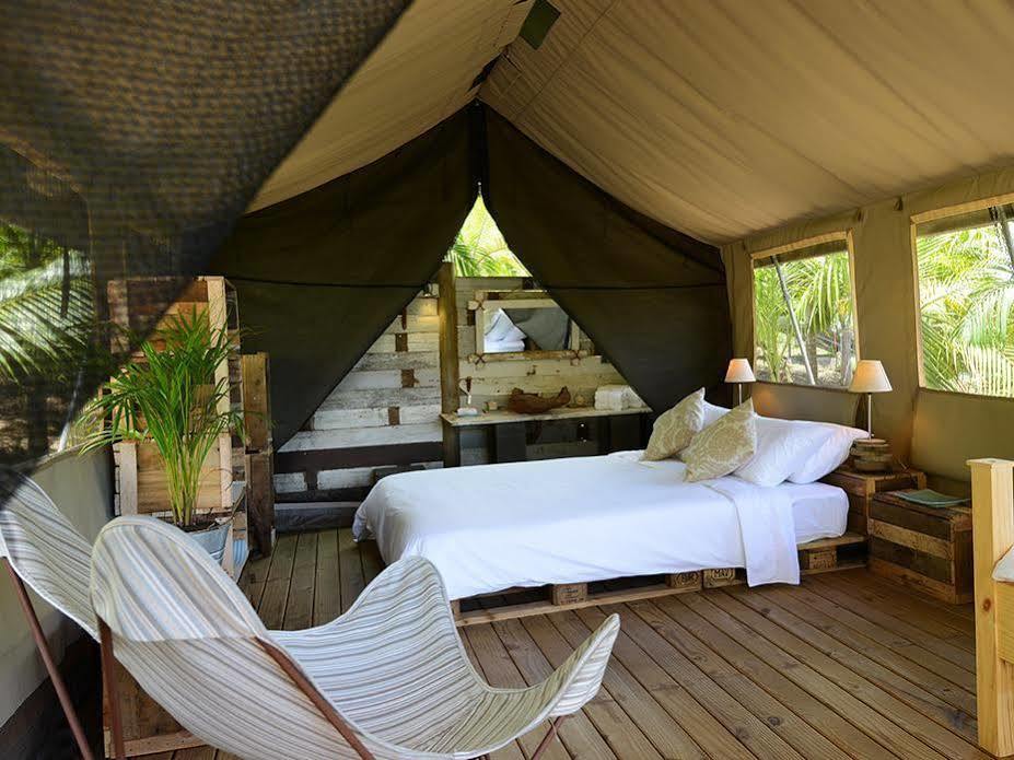 Otentic, Eco Tent Experience Grand River South East Exterior foto